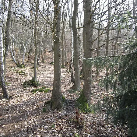 Le Vieux Sart No 34 * Stavelot
